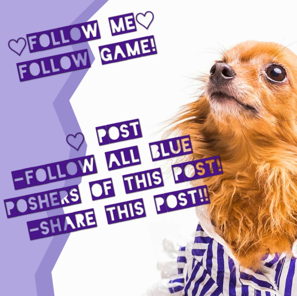 🐕FOLLOW ME! FOLLOW GAME!🐕